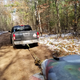 Illustration for article titled The Nissan Frontier Is Underrated: What I Learned Abusing America's Oldest Pickup Off-Road